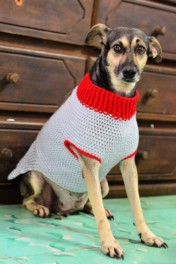 30 Free Crochet Dog Sweater Patterns (Easy Pattern)