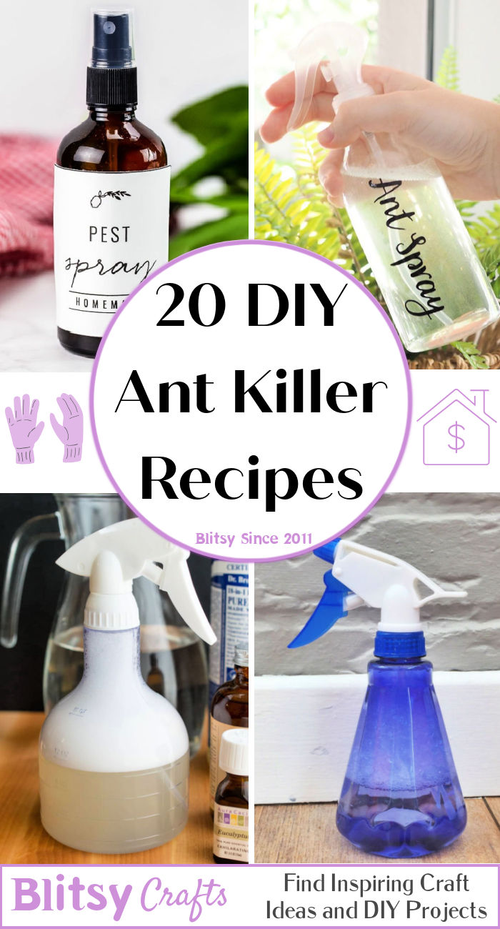 Homemade Diy Ant Killer Blitsy