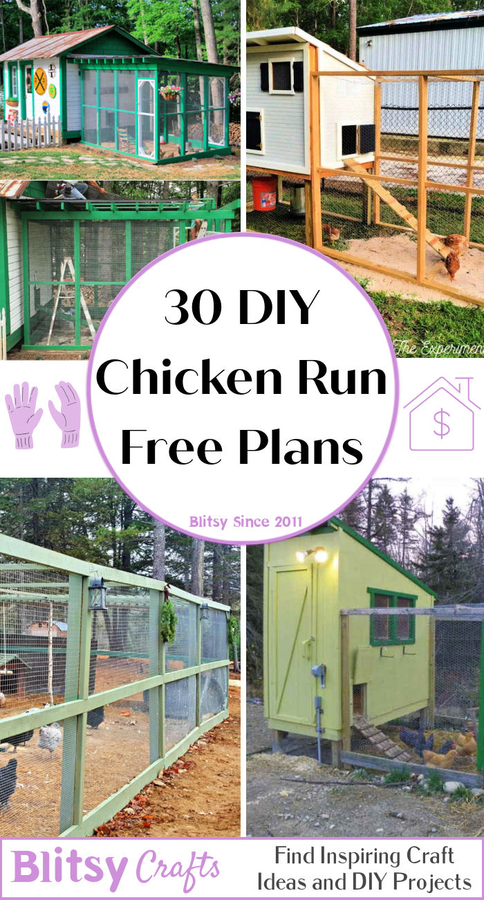 DIY Chicken Run Plans to Build - Blitsy