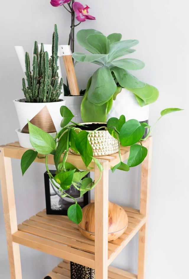 30-beautiful-diy-planters-you-can-make-from-scratch-blitsy