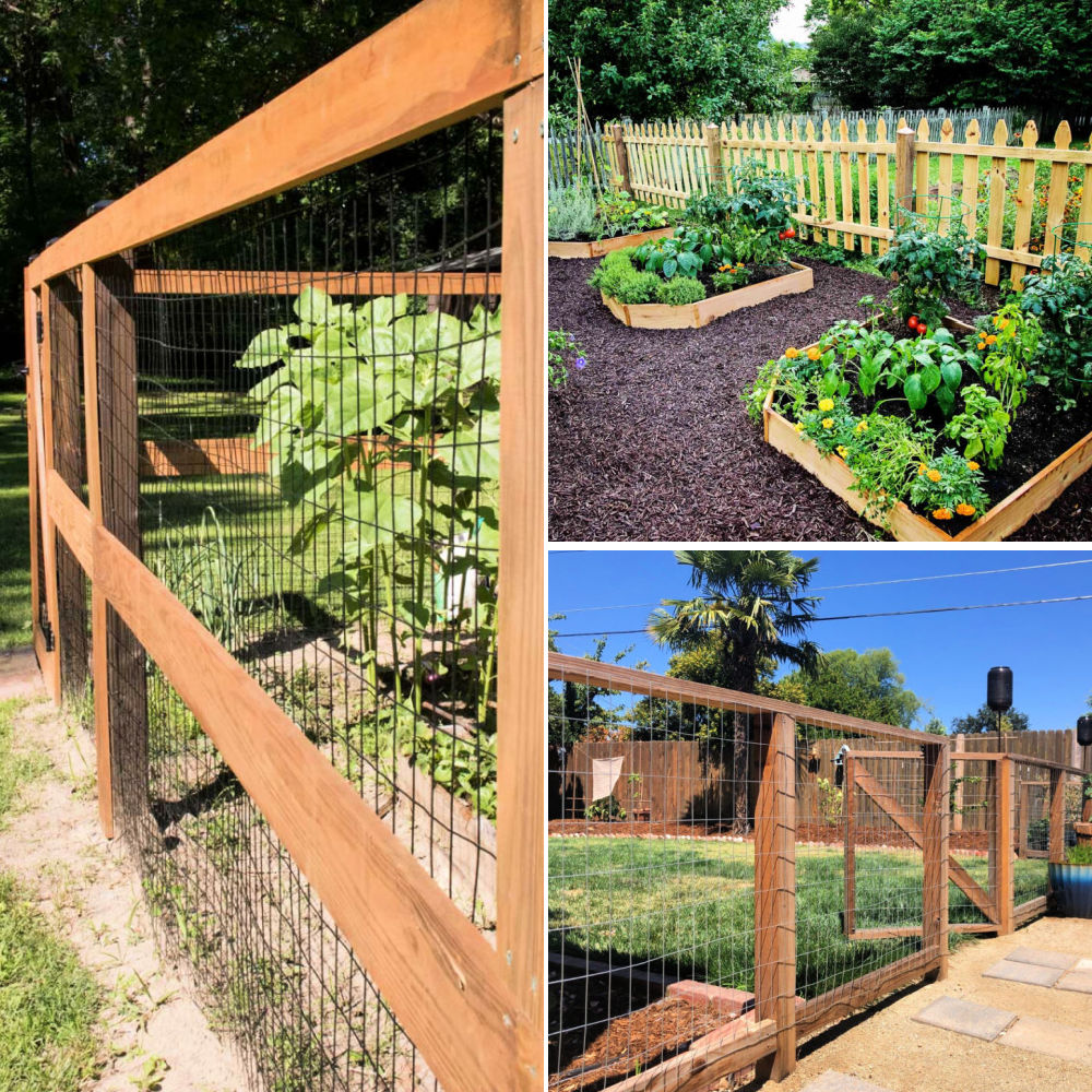 23 Durable Diy Garden Fence Ideas To Keep Your Gaden Safe
