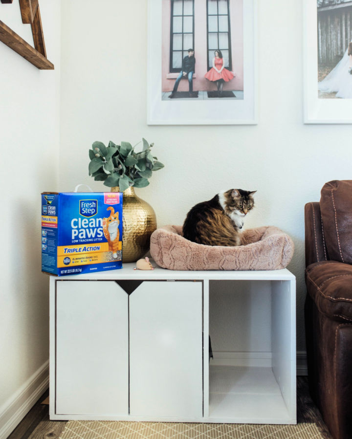 20 DIY Cat Litter Box Ideas + Hidden Litter Box Blitsy