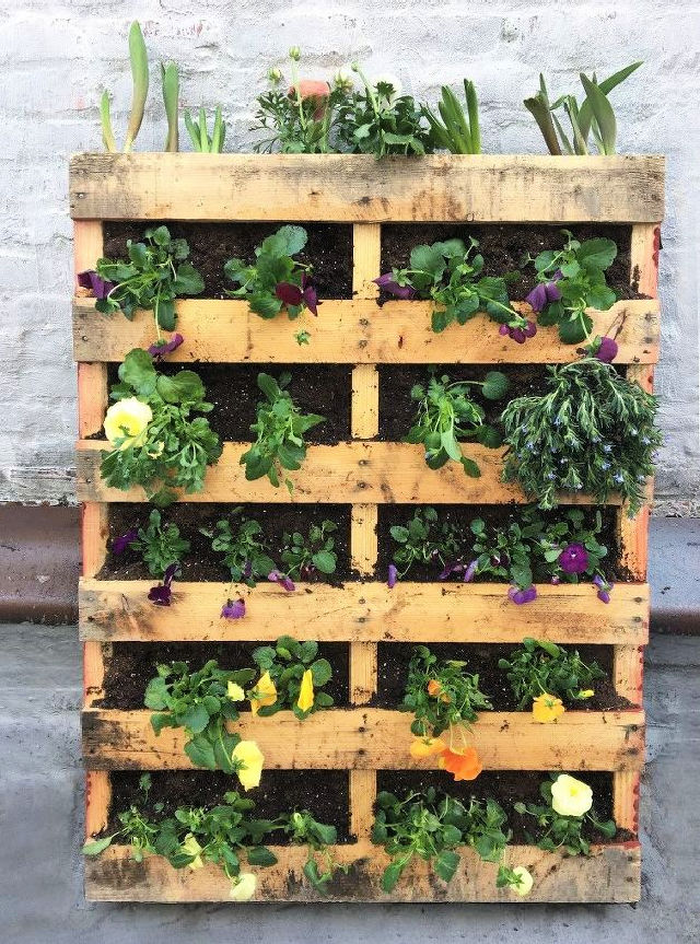 40 Cheap DIY Pallet Garden Ideas That Are Easy To Build - Blitsy