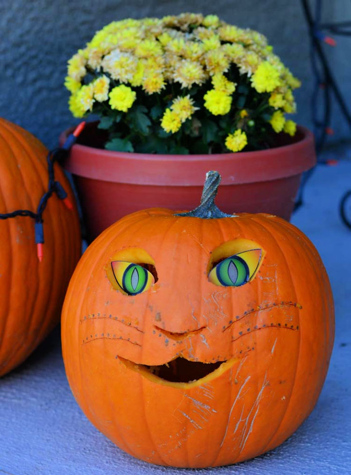 50 Easy Pumpkin Carving Ideas 2022 for Halloween - Blitsy