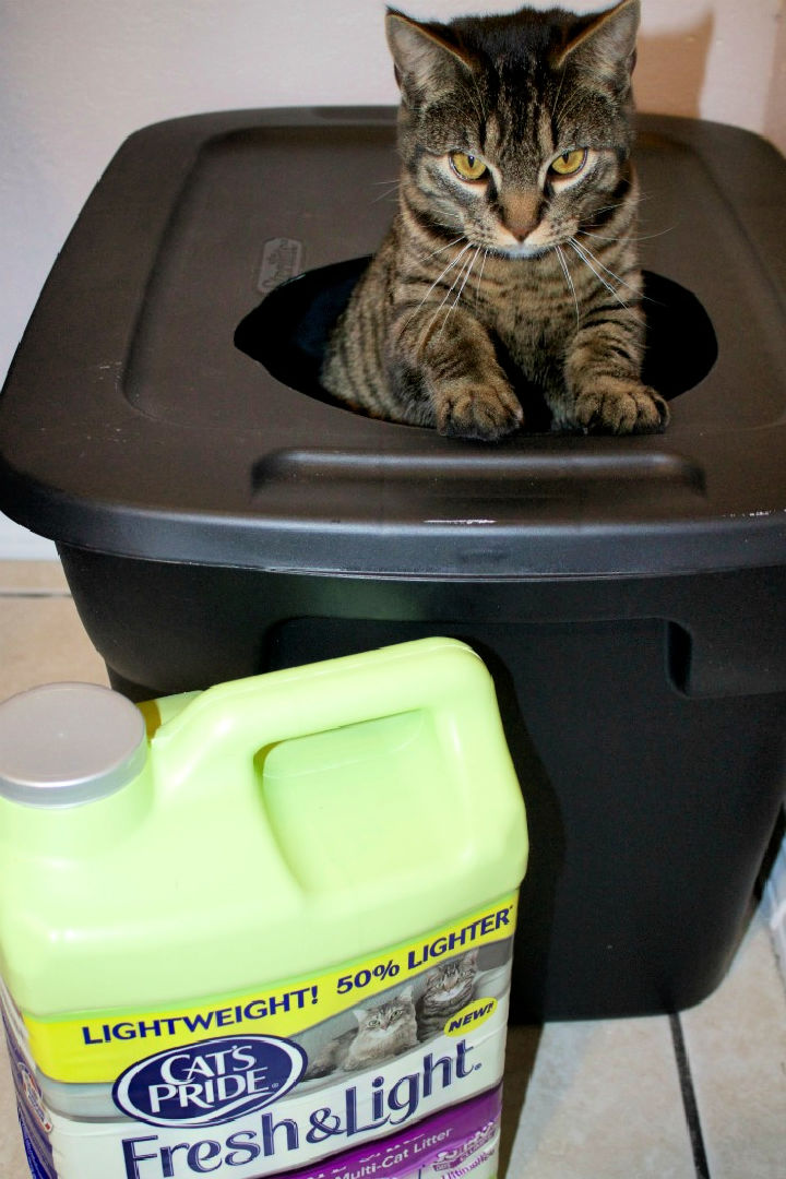 20 DIY Cat Litter Box Ideas + Hidden Litter Box Blitsy