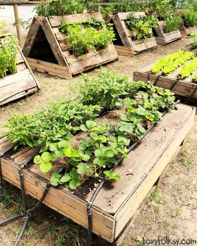 40 Cheap DIY Pallet Garden Ideas That Are Easy To Build - Blitsy