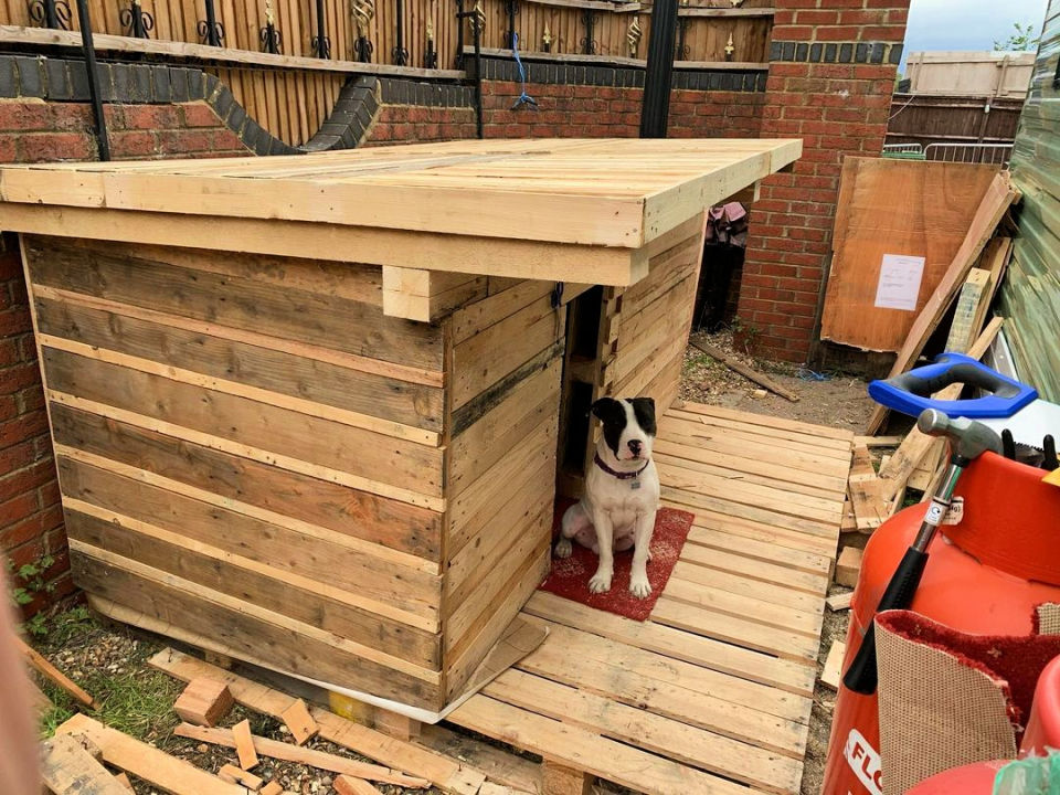 40 Free DIY Pallet Dog House Plans and Ideas Blitsy